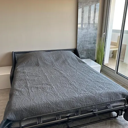 Les Sables D'or, Vue Mer, Wifi Et Parking Prive Apartment *