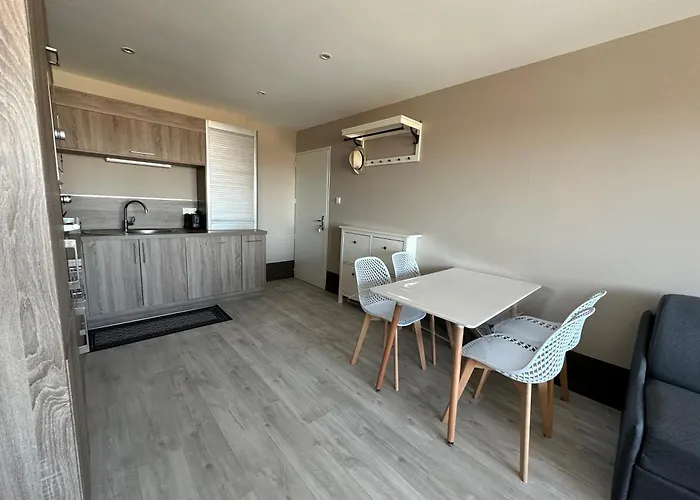 Apartamento Les Sables D'or, Vue Mer, Wifi Et Parking Prive