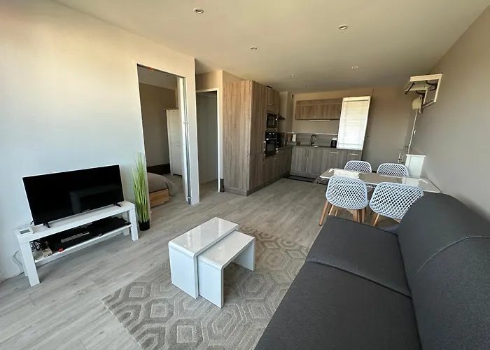 Les Sables D'or, Vue Mer, Wifi Et Parking Prive Apartamento *