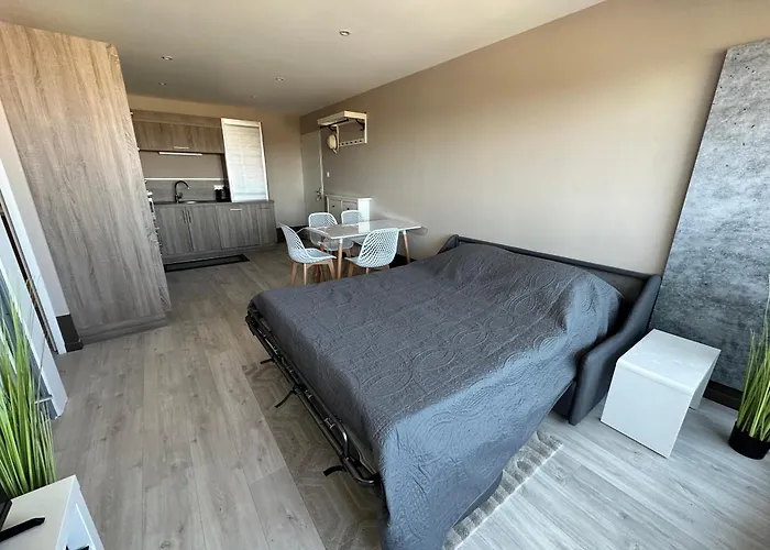 Les Sables D'or, Vue Mer, Wifi Et Parking Privé