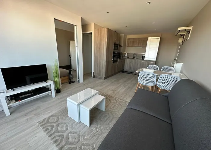 Les Sables D'or, Vue Mer, Wifi Et Parking Privé